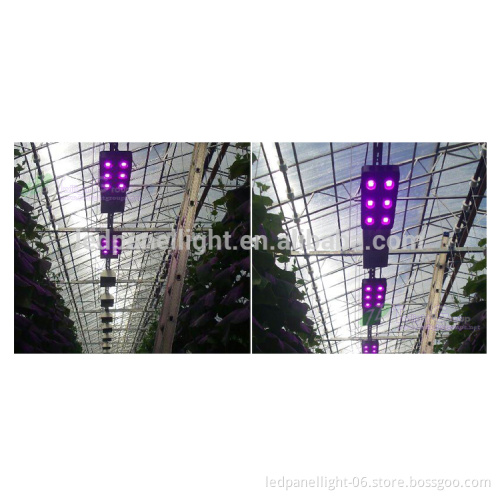 540W COB LED Panel Grow Light System Full Spectrum For Plant Replace HPS Lamp